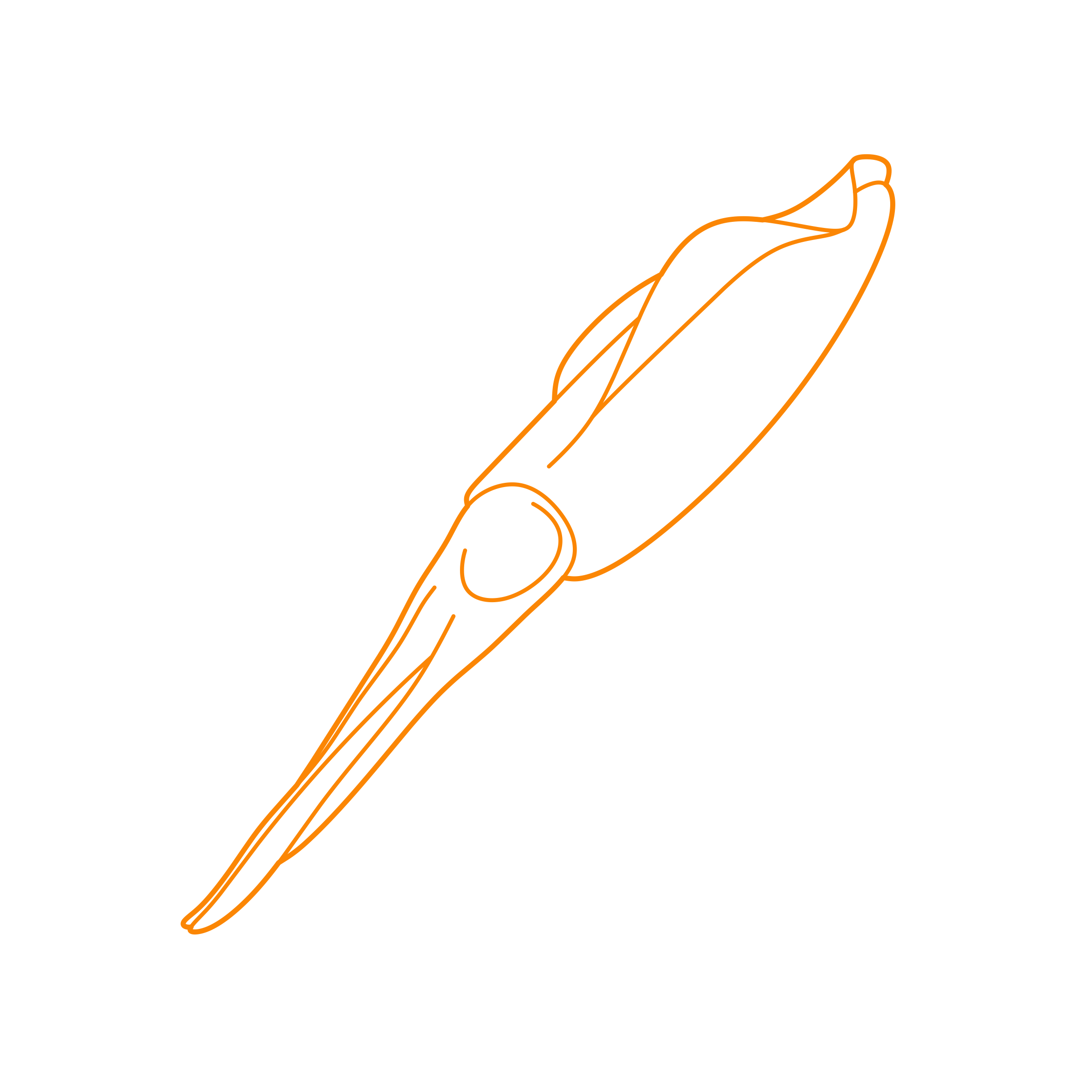 Animals Cephalopods Caribbean Reef Squid Tracing Svg Vector Free Vectors